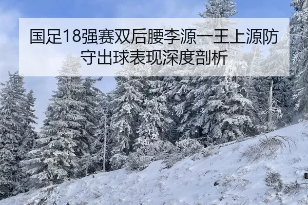 国足18强赛双后腰李源一王上源防守出球表现深度剖析