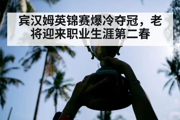 宾汉姆英锦赛爆冷夺冠,老将迎来职业生涯第二春