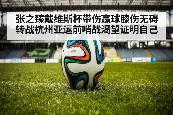 张之臻戴维斯杯带伤赢球膝伤无碍 转战杭州亚运前哨战渴望证明自己