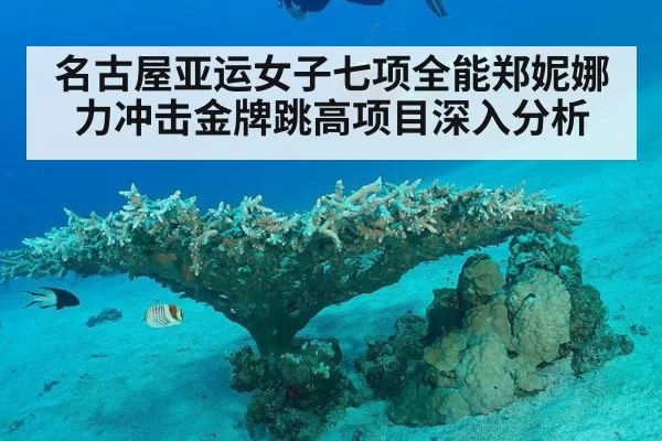 名古屋亚运女子七项全能郑妮娜力冲击金牌跳高项目深入分析